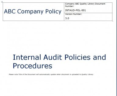 internal audit manual examples